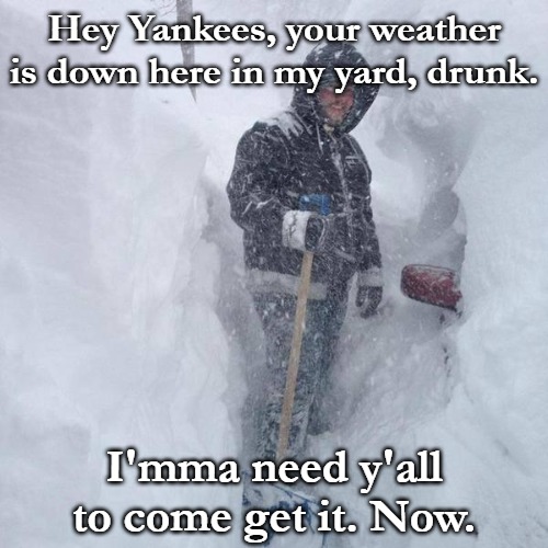 SNOW!!! | Hey Yankees, your weather is down here in my yard, drunk. I'mma need y'all to come get it. Now. | image tagged in snow | made w/ Imgflip meme maker