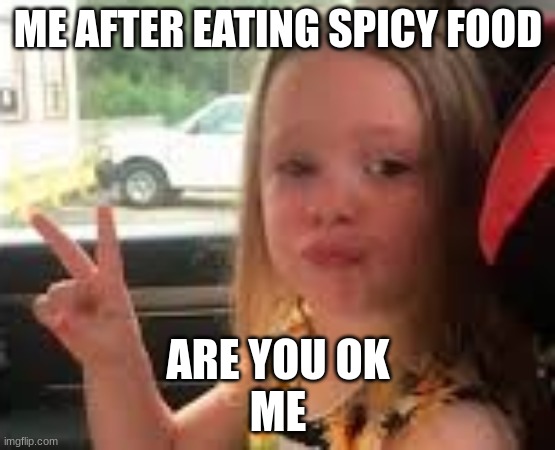 ME AFTER EATING SPICY FOOD; ARE YOU OK
ME | made w/ Imgflip meme maker