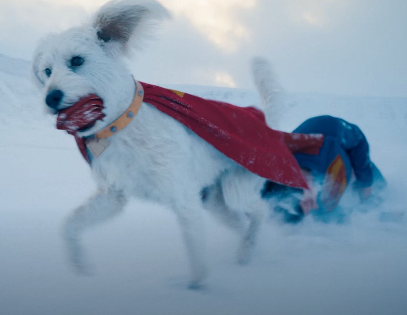 High Quality Krypto carrying Superman Blank Meme Template