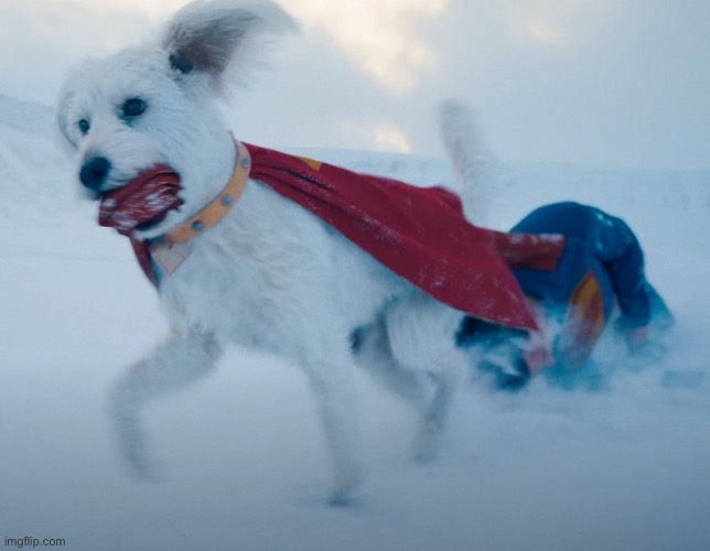 Krypto carrying Superman | image tagged in superman | made w/ Imgflip meme maker