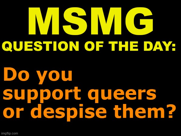 MSMG question of the day | Do you support queers or despise them? | image tagged in msmg question of the day | made w/ Imgflip meme maker