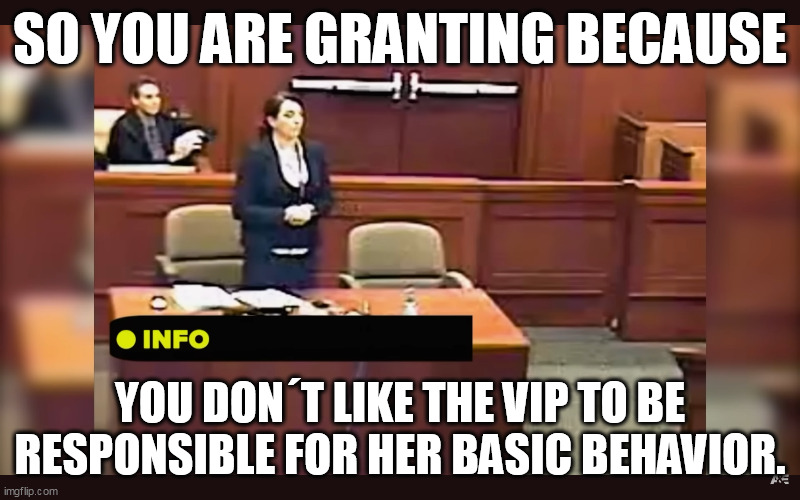 SO YOU ARE GRANTING BECAUSE; YOU DON´T LIKE THE VIP TO BE RESPONSIBLE FOR HER BASIC BEHAVIOR. | made w/ Imgflip meme maker