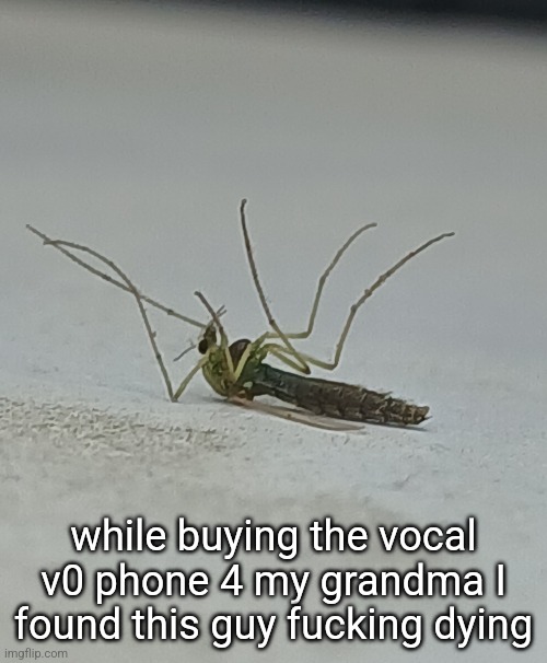 while buying the vocal v0 phone 4 my grandma I found this guy fucking dying | made w/ Imgflip meme maker