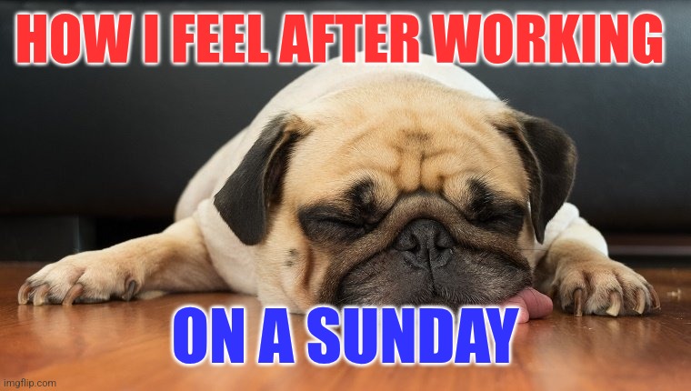 Tired | HOW I FEEL AFTER WORKING; ON A SUNDAY | image tagged in dog tired,funny memes | made w/ Imgflip meme maker