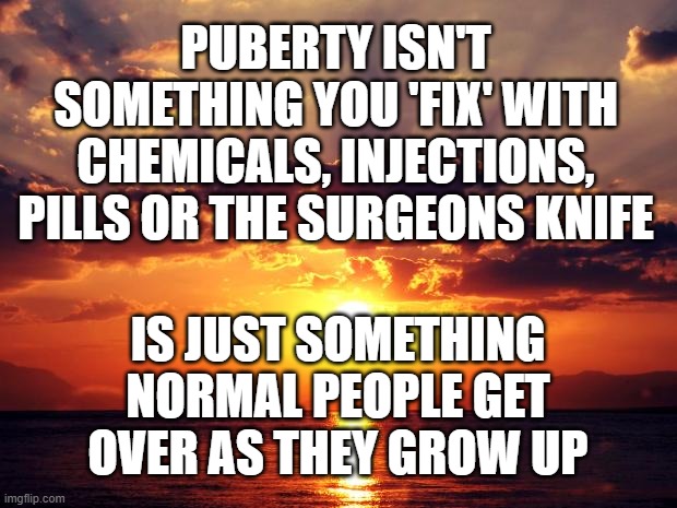 Sunset | PUBERTY ISN'T SOMETHING YOU 'FIX' WITH CHEMICALS, INJECTIONS, PILLS OR THE SURGEONS KNIFE; IS JUST SOMETHING NORMAL PEOPLE GET OVER AS THEY GROW UP | image tagged in sunset | made w/ Imgflip meme maker