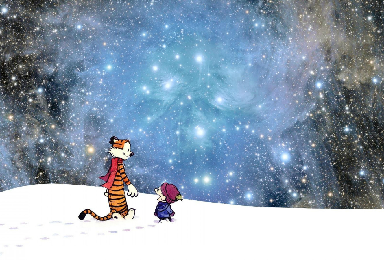 Calvin and Hobbes nebula sky night Blank Meme Template