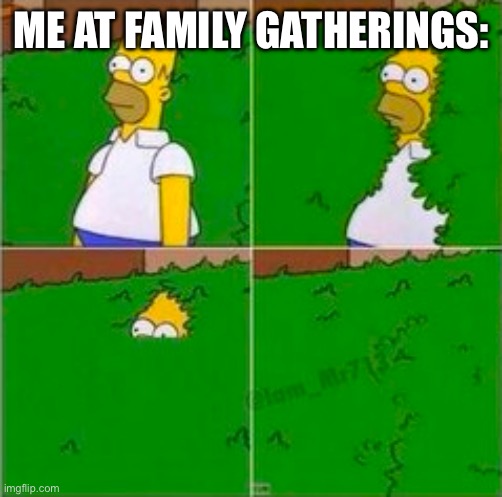 homer disappearing | ME AT FAMILY GATHERINGS: | image tagged in homer disappearing,memes,funny memes,family | made w/ Imgflip meme maker