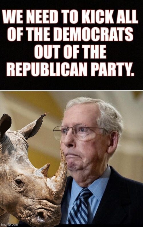 RINO Mitch, go away | image tagged in mitch mcconnell,rhino | made w/ Imgflip meme maker