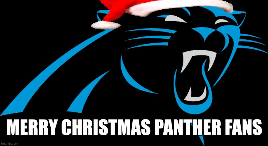 Merry Christmas NFL Fans | MERRY CHRISTMAS PANTHER FANS | image tagged in carolina panthers,25 | made w/ Imgflip meme maker