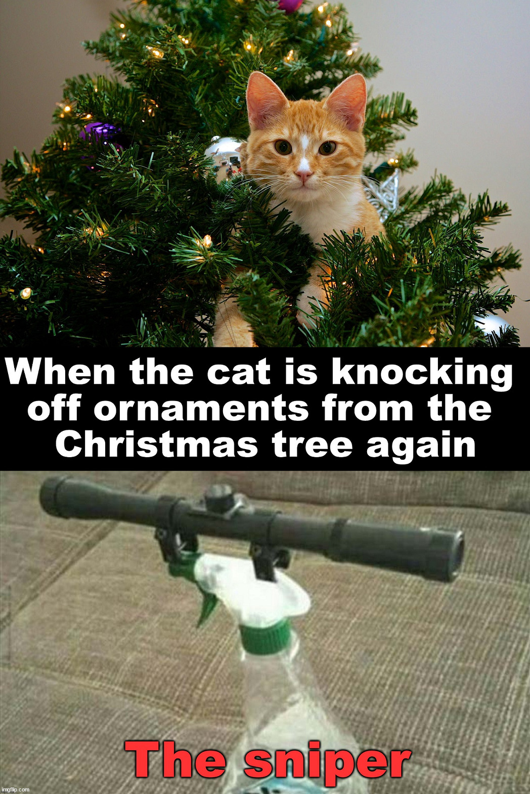 Cats love Christmas trees | image tagged in cats | made w/ Imgflip meme maker