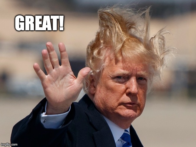 Great Hair day | GREAT! | image tagged in great | made w/ Imgflip meme maker