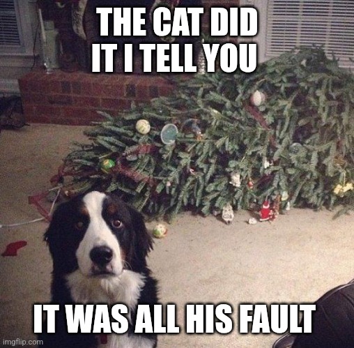 Cat's fault | THE CAT DID IT I TELL YOU; IT WAS ALL HIS FAULT | image tagged in dog christmas tree,funny memes | made w/ Imgflip meme maker