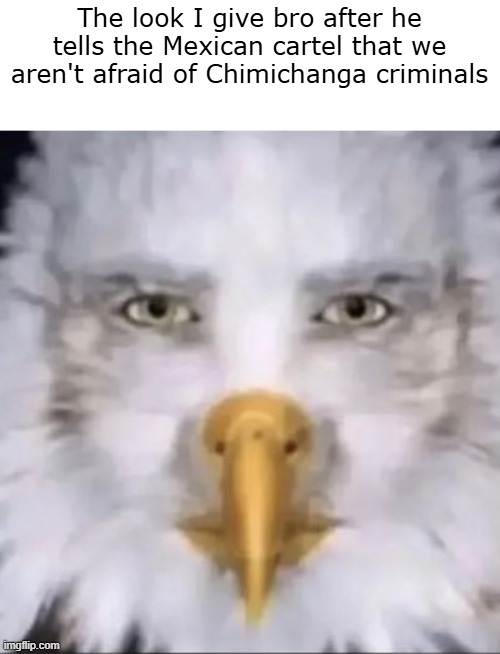 Staring eagle | The look I give bro after he tells the Mexican cartel that we aren't afraid of Chimichanga criminals | image tagged in staring eagle | made w/ Imgflip meme maker