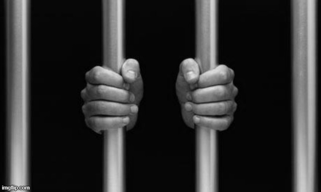 Prison Bars | image tagged in prison bars | made w/ Imgflip meme maker