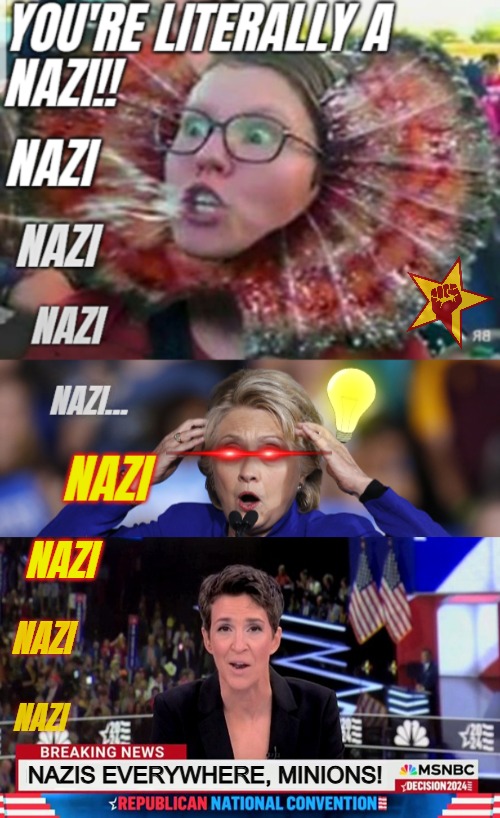 NAZI; NAZI; NAZI; NAZIS EVERYWHERE, MINIONS! | image tagged in american politics,triggered liberal,liberal media,nazis,media lies | made w/ Imgflip meme maker