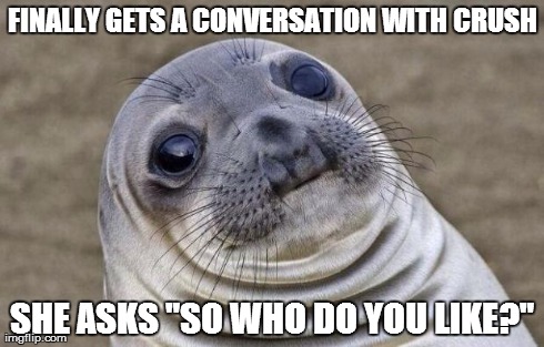 Awkward Moment Sealion Meme | FINALLY GETS A CONVERSATION WITH CRUSH SHE ASKS "SO WHO DO YOU LIKE?" | image tagged in memes,awkward moment sealion | made w/ Imgflip meme maker