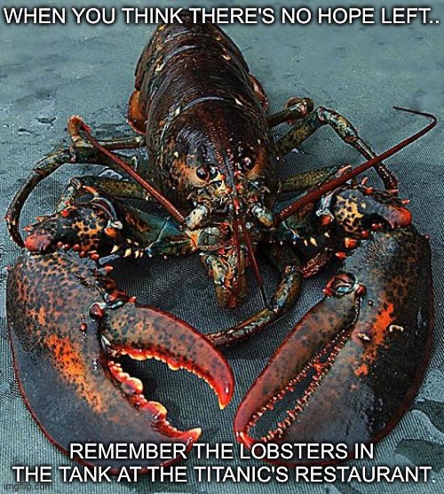 Lobster wisdom | WHEN YOU THINK THERE'S NO HOPE LEFT.. REMEMBER THE LOBSTERS IN THE TANK AT THE TITANIC'S RESTAURANT | image tagged in lobster,wisdom,hope,titanic | made w/ Imgflip meme maker