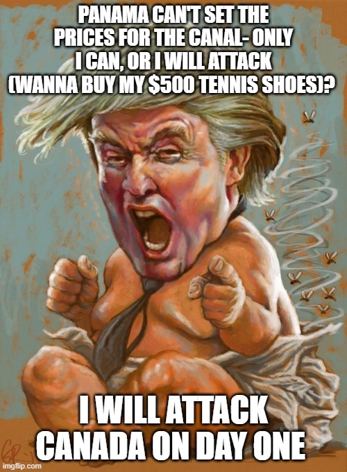 tantrums, full diaper, free market- only if i approve | PANAMA CAN'T SET THE PRICES FOR THE CANAL- ONLY I CAN, OR I WILL ATTACK (WANNA BUY MY $500 TENNIS SHOES)? I WILL ATTACK CANADA ON DAY ONE | image tagged in trump baby infant full diaper | made w/ Imgflip meme maker