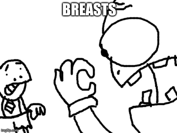 BREASTS | image tagged in blank white template | made w/ Imgflip meme maker