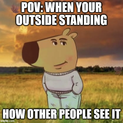 Chill Guy really Chills | POV: WHEN YOUR OUTSIDE STANDING; HOW OTHER PEOPLE SEE IT | image tagged in chill guy | made w/ Imgflip meme maker