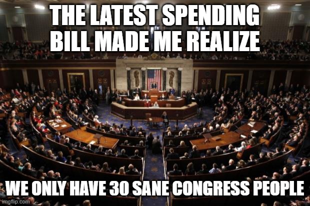 Only 30 sane congress people | THE LATEST SPENDING BILL MADE ME REALIZE; WE ONLY HAVE 30 SANE CONGRESS PEOPLE | image tagged in congress | made w/ Imgflip meme maker