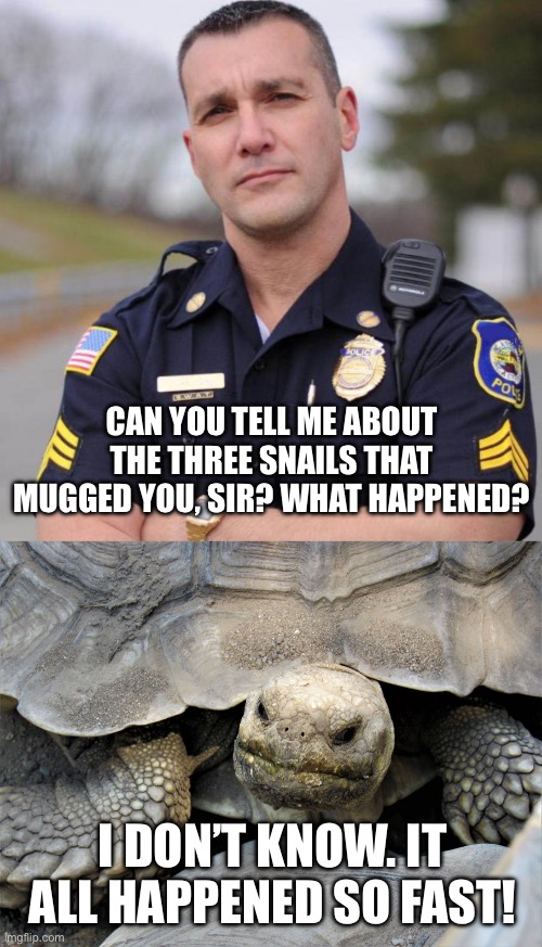 CAN YOU TELL ME ABOUT THE THREE SNAILS THAT MUGGED YOU, SIR? WHAT HAPPENED? I DON’T KNOW. IT ALL HAPPENED SO FAST! | image tagged in cop,grumpy tortoise,irony,slow,snail | made w/ Imgflip meme maker