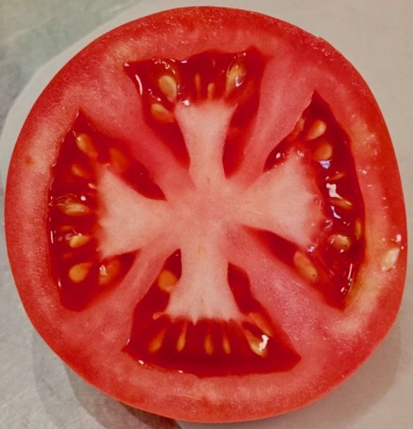 Tomato Blank Meme Template