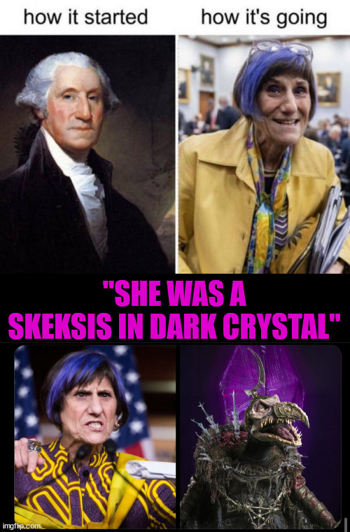 They're not all smart enough to pull off insider trading... | "SHE WAS A SKEKSIS IN DARK CRYSTAL" | image tagged in skeksis,dark crystal,second income,not everyone smart enough to inside trade,rosa delauro | made w/ Imgflip meme maker