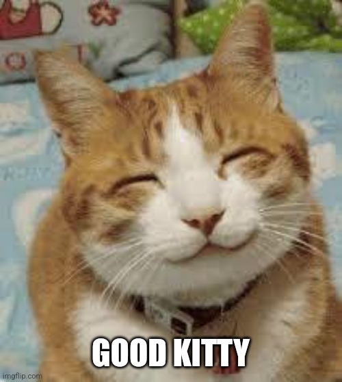 Happy cat | GOOD KITTY | image tagged in happy cat | made w/ Imgflip meme maker