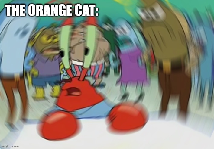 Mr Krabs Blur Meme Meme | THE ORANGE CAT: | image tagged in memes,mr krabs blur meme | made w/ Imgflip meme maker