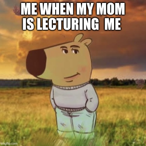 Chill guy | ME WHEN MY MOM IS LECTURING  ME | image tagged in chill guy | made w/ Imgflip meme maker