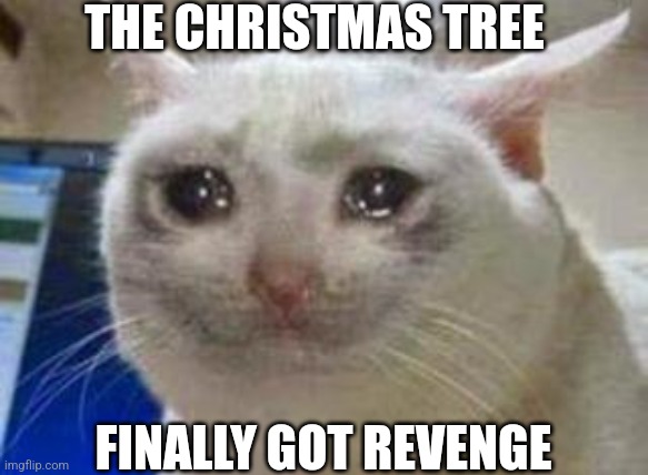 Sad cat | THE CHRISTMAS TREE FINALLY GOT REVENGE | image tagged in sad cat | made w/ Imgflip meme maker