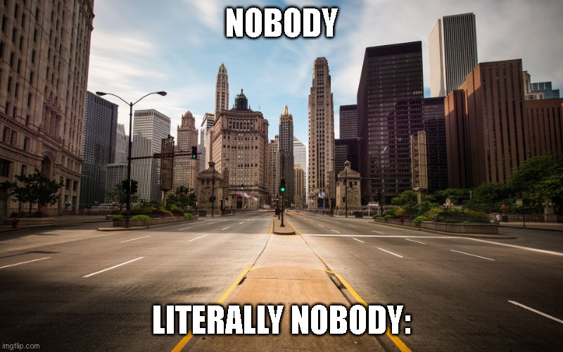 Everybody!!!!! | NOBODY; LITERALLY NOBODY: | image tagged in empty city street | made w/ Imgflip meme maker