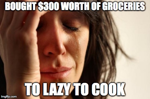 First World Problems | BOUGHT $300 WORTH OF GROCERIES TO LAZY TO COOK | image tagged in memes,first world problems,AdviceAnimals | made w/ Imgflip meme maker