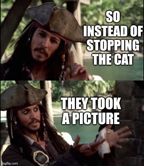 JACK SPARROW I LIKE THIS | SO INSTEAD OF STOPPING THE CAT THEY TOOK A PICTURE | image tagged in jack sparrow i like this | made w/ Imgflip meme maker