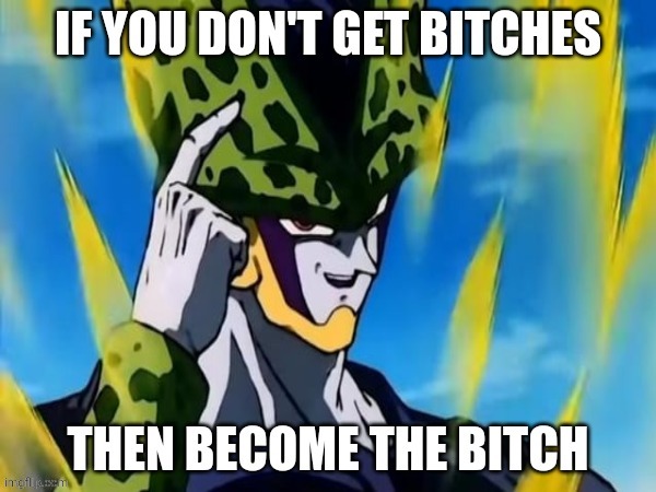 become the bitch | image tagged in dbz,perfect cell | made w/ Imgflip meme maker