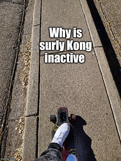 Why is surly Kong inactive | image tagged in why are you reading this,surly,memes | made w/ Imgflip meme maker