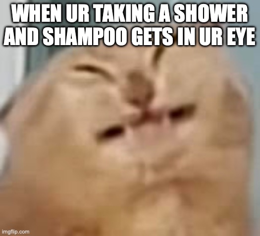 ow | WHEN UR TAKING A SHOWER AND SHAMPOO GETS IN UR EYE | image tagged in fun | made w/ Imgflip meme maker