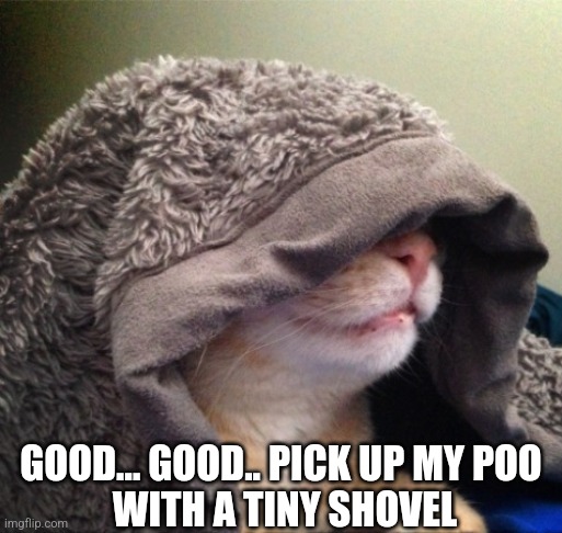 GOOD... GOOD.. PICK UP MY POO 
WITH A TINY SHOVEL | made w/ Imgflip meme maker