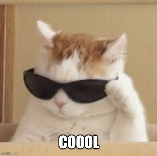 Cool cat | COOOL | image tagged in cool cat | made w/ Imgflip meme maker