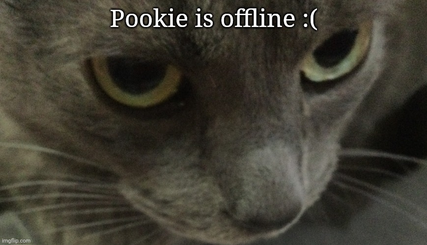 Sweetie | Pookie is offline :( | image tagged in sweetie | made w/ Imgflip meme maker