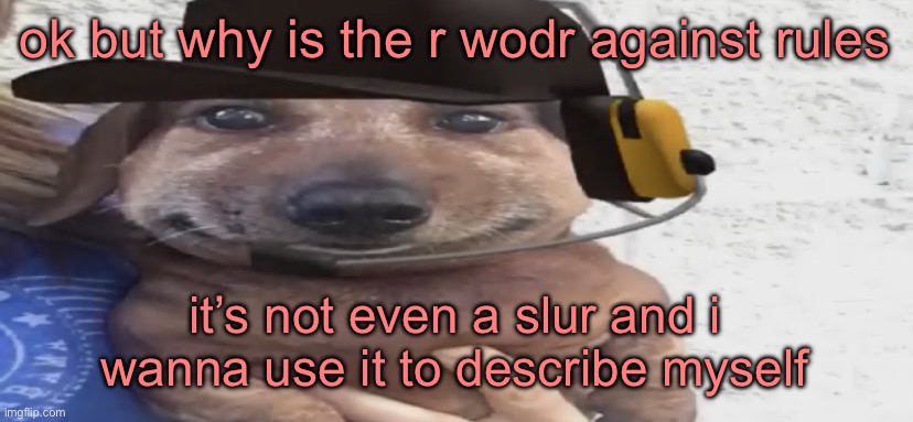 chucklenuts | ok but why is the r wodr against rules; it’s not even a slur and i wanna use it to describe myself | image tagged in chucklenuts | made w/ Imgflip meme maker