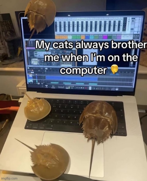 No I’m somehow not dead | made w/ Imgflip meme maker