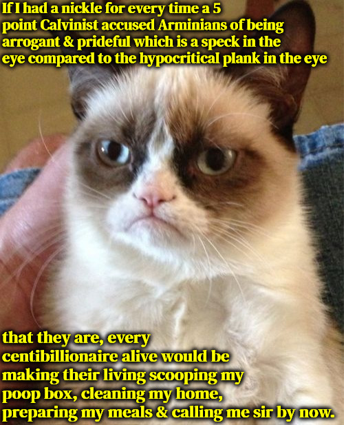 If I Had A Nickle | If I had a nickle for every time a 5 point Calvinist accused Arminians of being arrogant & prideful which is a speck in the eye compared to the hypocritical plank in the eye; that they are, every centibillionaire alive would be making their living scooping my poop box, cleaning my home, preparing my meals & calling me sir by now. | image tagged in grumpy cat,calvinism,arminian,molinism,wallowing in blind hypocrisy,if i had a nickle | made w/ Imgflip meme maker