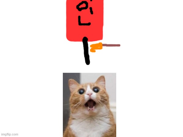 CAT | image tagged in cat | made w/ Imgflip meme maker