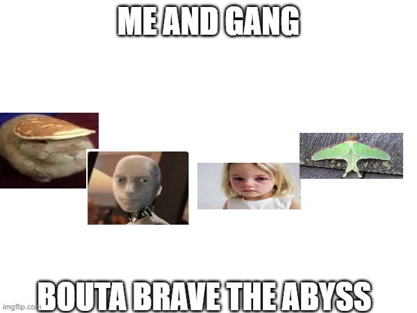 made in abyss be like | ME AND GANG; BOUTA BRAVE THE ABYSS | image tagged in anime,anime meme,lol,memes,funny | made w/ Imgflip meme maker