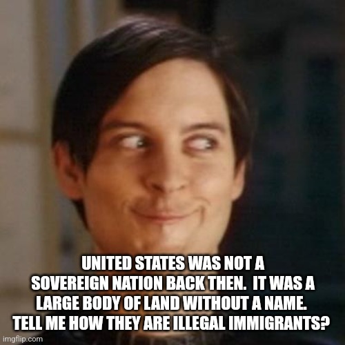 Toby mcguire | UNITED STATES WAS NOT A SOVEREIGN NATION BACK THEN.  IT WAS A LARGE BODY OF LAND WITHOUT A NAME.  TELL ME HOW THEY ARE ILLEGAL IMMIGRANTS? | image tagged in toby mcguire | made w/ Imgflip meme maker