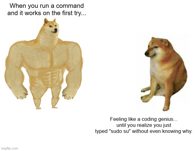 linux meme | When you run a command and it works on the first try... Feeling like a coding genius... until you realize you just typed "sudo su" without even knowing why. | image tagged in memes,buff doge vs cheems | made w/ Imgflip meme maker