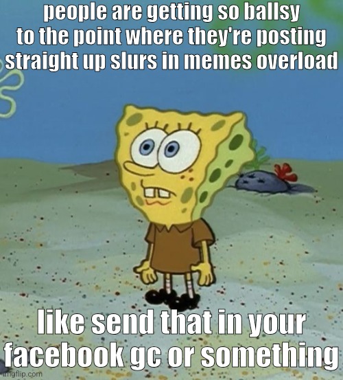 spob | people are getting so ballsy to the point where they're posting straight up slurs in memes overload; like send that in your facebook gc or something | image tagged in spob | made w/ Imgflip meme maker