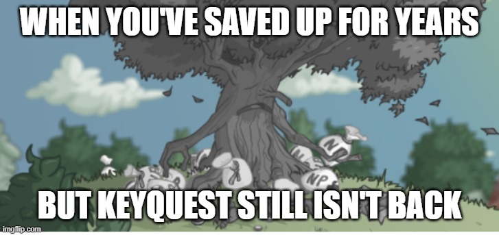 WHEN YOU'VE SAVED UP FOR YEARS; BUT KEYQUEST STILL ISN'T BACK | made w/ Imgflip meme maker